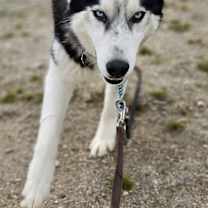 Thumbnail photo of Evan #1