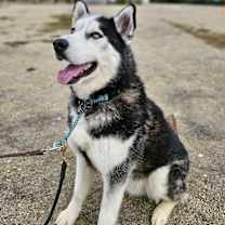 Thumbnail photo of Evan #2