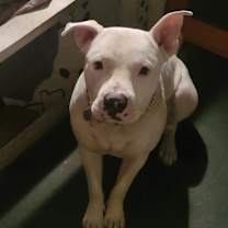 Thumbnail photo of Jax #1