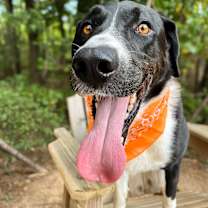 Thumbnail photo of Sky #2