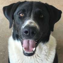 Thumbnail photo of Sky #3