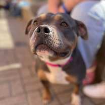 Thumbnail photo of Valhalla #3