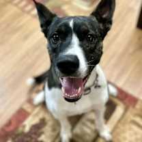 Thumbnail photo of Gigi #4