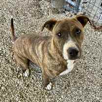 Thumbnail photo of Elsa #1