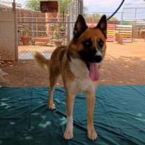 Thumbnail photo of Sonny #1