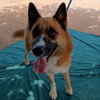 Thumbnail photo of Sonny #3