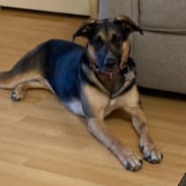Thumbnail photo of Maia #2