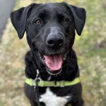 Thumbnail photo of Franklin #2