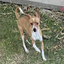 Thumbnail photo of Liam #1