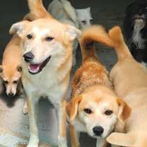 Thumbnail photo of William #4