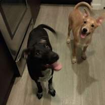 Thumbnail photo of Stanley #3