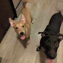 Thumbnail photo of Tricia #3