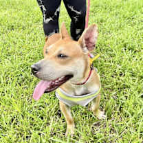 Thumbnail photo of CHEROKEE #3