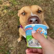 Thumbnail photo of Honey #1