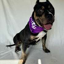 Thumbnail photo of Sterling #2