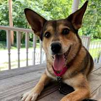 Thumbnail photo of Kai #1