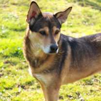 Thumbnail photo of Kai #3