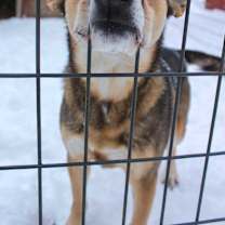 Thumbnail photo of Kai #4