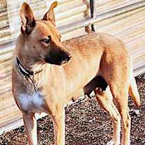 Thumbnail photo of FLORA #2