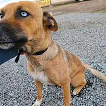 Thumbnail photo of FLORA #3