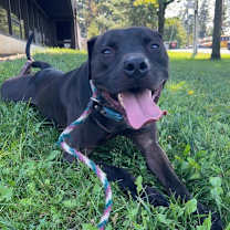 Thumbnail photo of Maverick #1