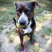 Thumbnail photo of Valentine #2