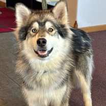 Thumbnail photo of NANUK #4