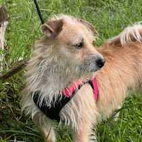 Thumbnail photo of So much Better!! #3