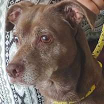 Thumbnail photo of Cynthia #1