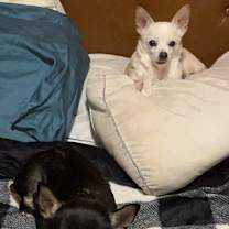 Thumbnail photo of 2 little old Ladies... #3