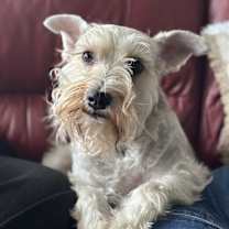 Thumbnail photo of Maggie #3