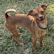 Thumbnail photo of Cheech #2