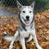 Thumbnail photo of CUBBY IS A HIKER #1