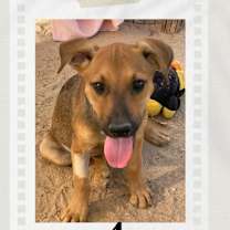 Thumbnail photo of Aura #2