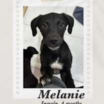 Thumbnail photo of Melanie #2
