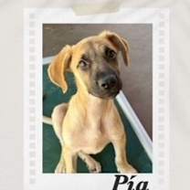 Thumbnail photo of Pia #2