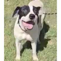 Thumbnail photo of Walter #1