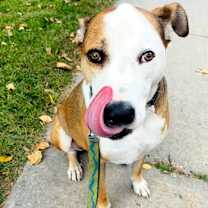 Thumbnail photo of Wallace #4