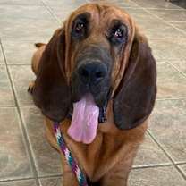Thumbnail photo of Ellie #1
