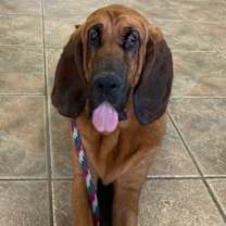 Thumbnail photo of Ellie #2