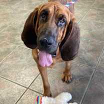Thumbnail photo of Ellie #3