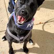 Thumbnail photo of Adele #1