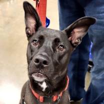 Thumbnail photo of Adele #2