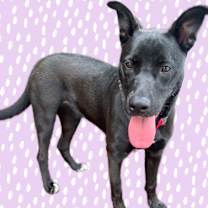 Thumbnail photo of Adele #3