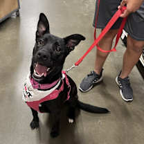 Thumbnail photo of Adele #4