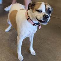 Thumbnail photo of MAYBELLE #2