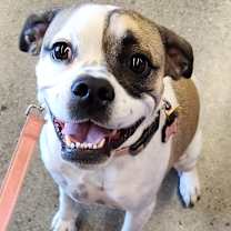 Thumbnail photo of MAYBELLE #3