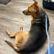 Thumbnail photo of Max #2
