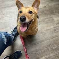 Thumbnail photo of Max #3