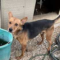Thumbnail photo of Max #4